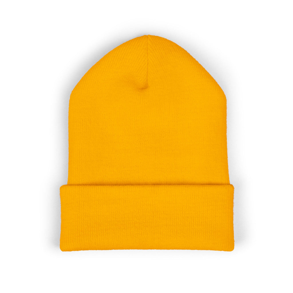 Prezzi Embroidered Cuffed Beanie — Streetwear Knit Hat