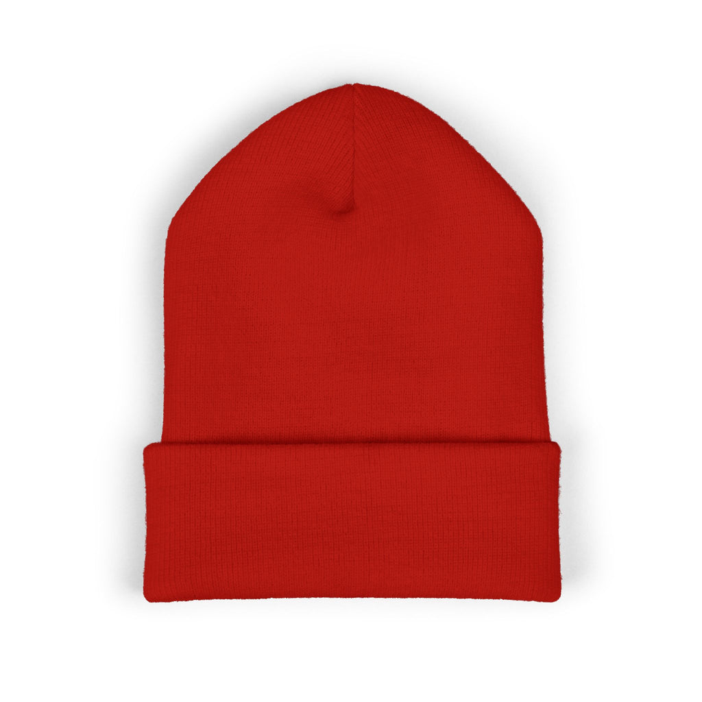 Prezzi Embroidered Cuffed Beanie — Streetwear Knit Hat